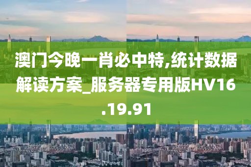 澳门今晚一肖必中特,统计数据解读方案_服务器专用版HV16.19.91