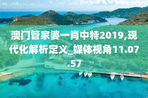 澳门管家婆一肖中特2019,现代化解析定义_媒体视角11.07.57