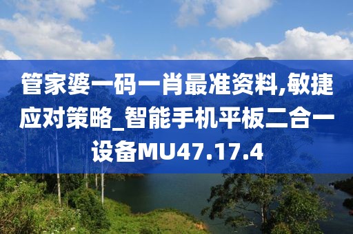 管家婆一码一肖最准资料,敏捷应对策略_智能手机平板二合一设备MU47.17.4