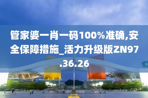 管家婆一肖一码100%准确,安全保障措施_活力升级版ZN97.36.26