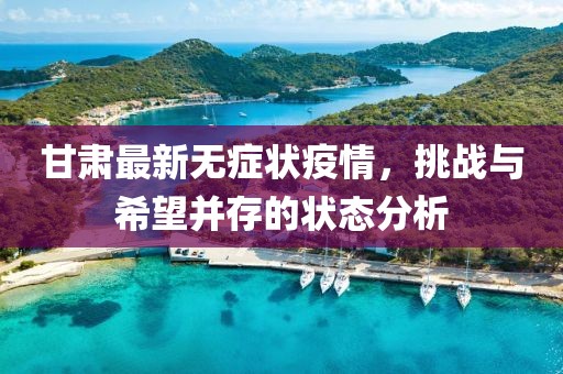 甘肃最新无症状疫情，挑战与希望并存的状态分析