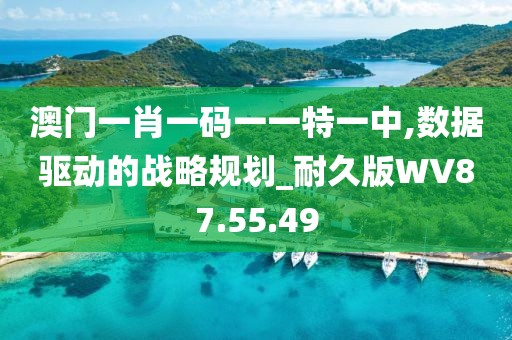 澳门一肖一码一一特一中,数据驱动的战略规划_耐久版WV87.55.49