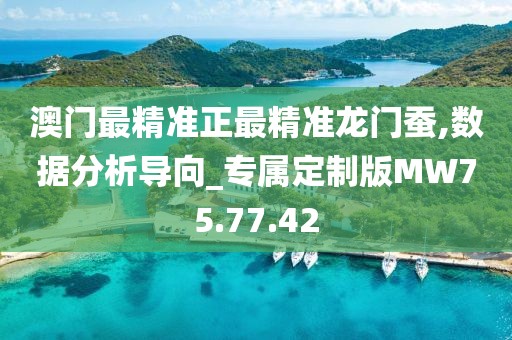 澳门最精准正最精准龙门蚕,数据分析导向_专属定制版MW75.77.42