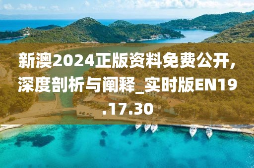 新澳2024正版资料免费公开,深度剖析与阐释_实时版EN19.17.30