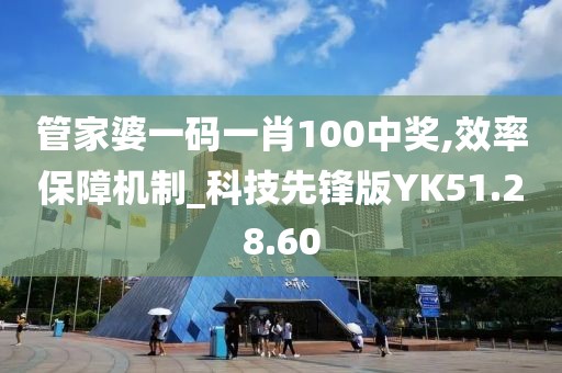 管家婆一码一肖100中奖,效率保障机制_科技先锋版YK51.28.60