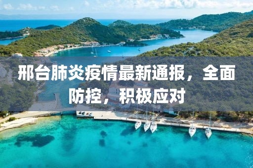 邢台肺炎疫情最新通报，全面防控，积极应对