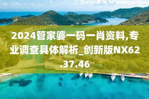2024管家婆一码一肖资料,专业调查具体解析_创新版NX62.37.46