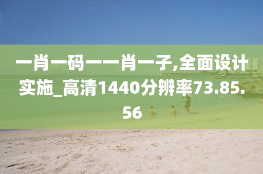 一肖一码一一肖一子,全面设计实施_高清1440分辨率73.85.56