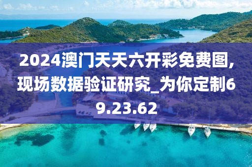 2024澳门天天六开彩免费图,现场数据验证研究_为你定制69.23.62
