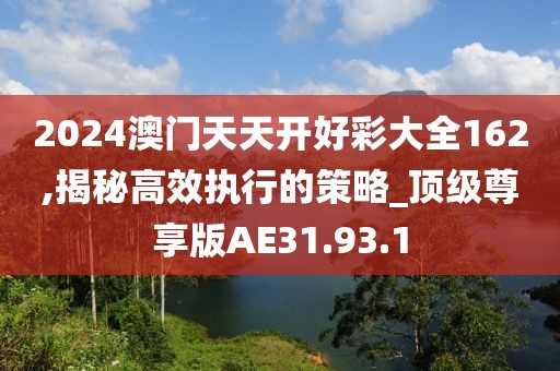 2024澳门天天开好彩大全162,揭秘高效执行的策略_顶级尊享版AE31.93.1