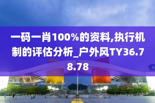一码一肖100%的资料,执行机制的评估分析_户外风TY36.78.78