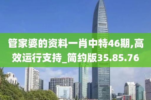 管家婆的资料一肖中特46期,高效运行支持_简约版35.85.76