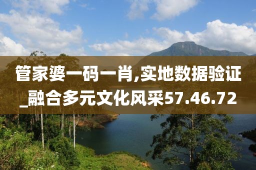 管家婆一码一肖,实地数据验证_融合多元文化风采57.46.72