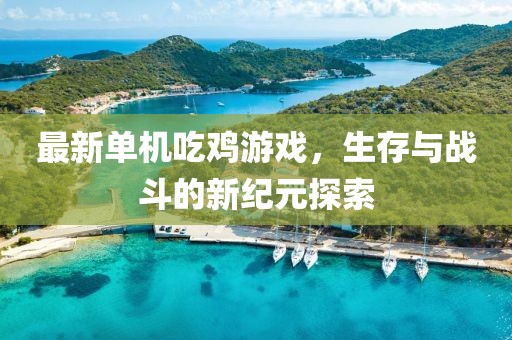最新单机吃鸡游戏，生存与战斗的新纪元探索