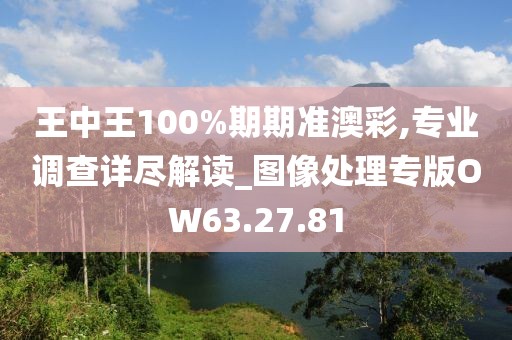 王中王100%期期准澳彩,专业调查详尽解读_图像处理专版OW63.27.81