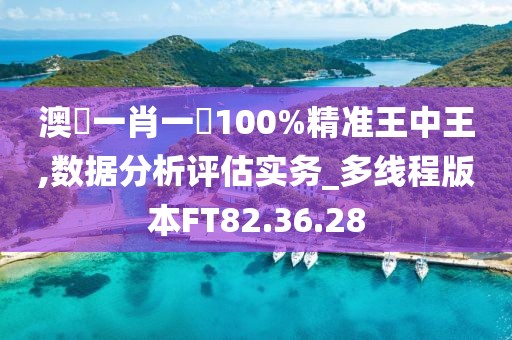澳門一肖一碼100%精准王中王,数据分析评估实务_多线程版本FT82.36.28