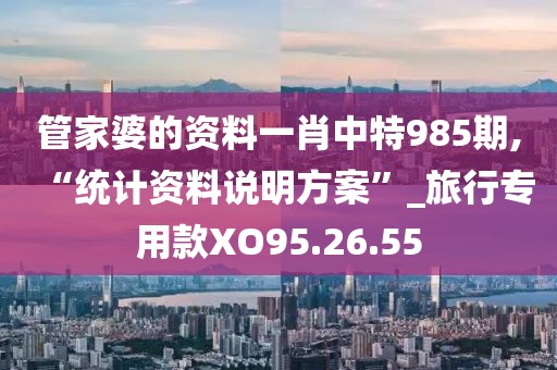 管家婆的资料一肖中特985期,“统计资料说明方案”_旅行专用款XO95.26.55