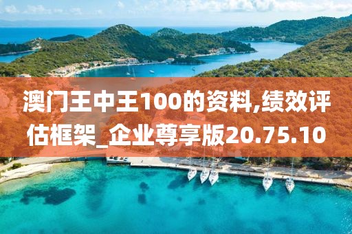 澳门王中王100的资料,绩效评估框架_企业尊享版20.75.10