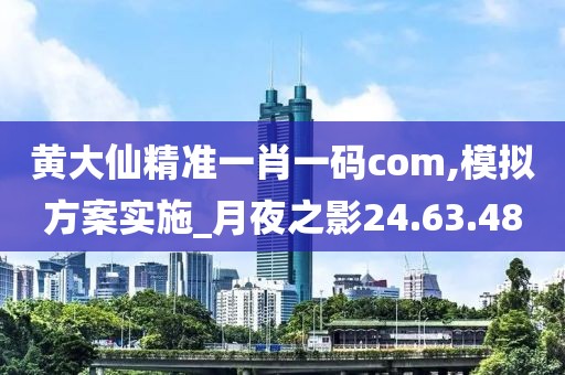 黄大仙精准一肖一码com,模拟方案实施_月夜之影24.63.48