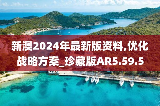 新澳2024年最新版资料,优化战略方案_珍藏版AR5.59.5
