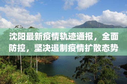 沈阳最新疫情轨迹通报，全面防控，坚决遏制疫情扩散态势