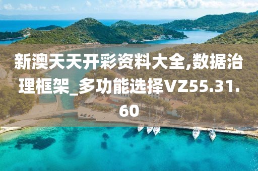 新澳天天开彩资料大全,数据治理框架_多功能选择VZ55.31.60