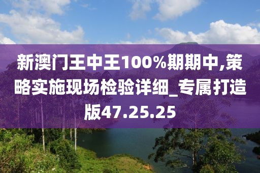 新澳门王中王100%期期中,策略实施现场检验详细_专属打造版47.25.25