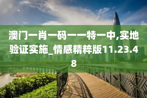 澳门一肖一码一一特一中,实地验证实施_情感精粹版11.23.48