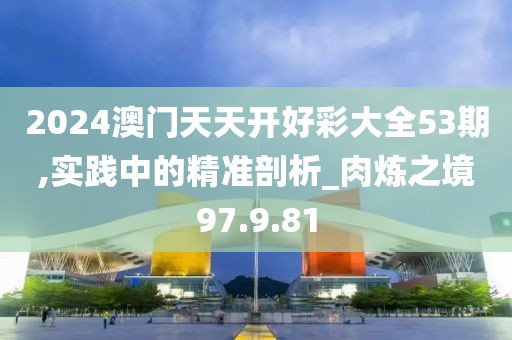 2024澳门天天开好彩大全53期,实践中的精准剖析_肉炼之境97.9.81