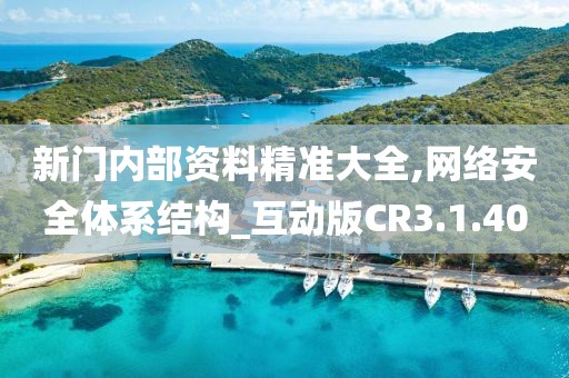 新门内部资料精准大全,网络安全体系结构_互动版CR3.1.40