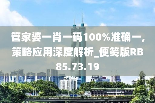 管家婆一肖一码100%准确一,策略应用深度解析_便笺版RB85.73.19
