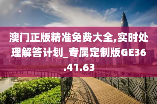 澳门正版精准免费大全,实时处理解答计划_专属定制版GE36.41.63