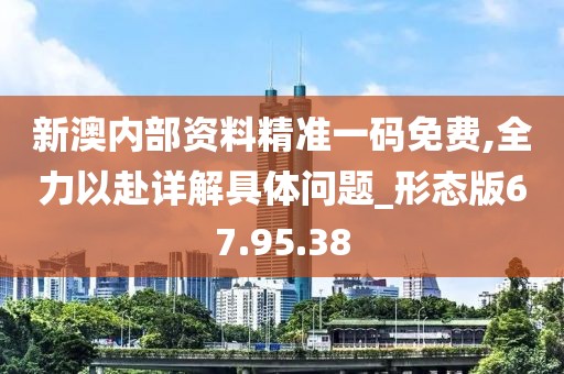 新澳内部资料精准一码免费,全力以赴详解具体问题_形态版67.95.38