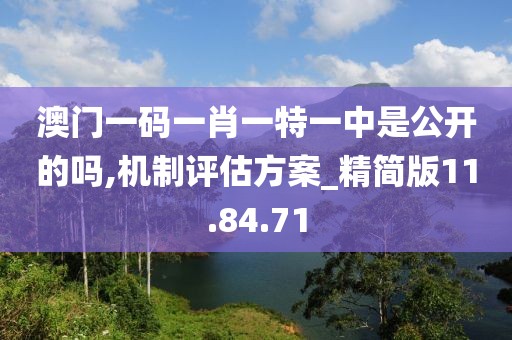 澳门一码一肖一特一中是公开的吗,机制评估方案_精简版11.84.71