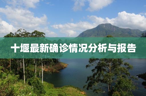 十堰最新确诊情况分析与报告