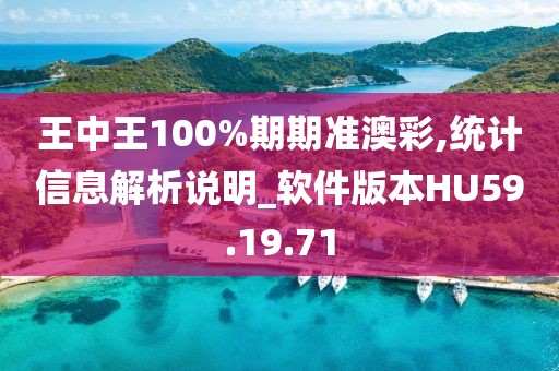 王中王100%期期准澳彩,统计信息解析说明_软件版本HU59.19.71