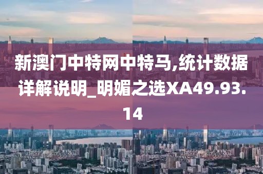 新澳门中特网中特马,统计数据详解说明_明媚之选XA49.93.14