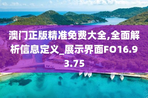 澳门正版精准免费大全,全面解析信息定义_展示界面FO16.93.75