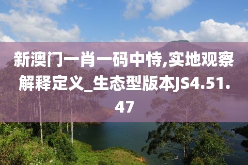 新澳门一肖一码中恃,实地观察解释定义_生态型版本JS4.51.47