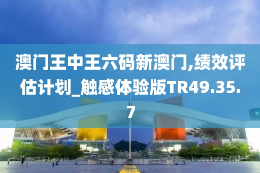 澳门王中王六码新澳门,绩效评估计划_触感体验版TR49.35.7