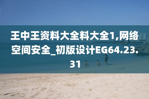 王中王资料大全料大全1,网络空间安全_初版设计EG64.23.31