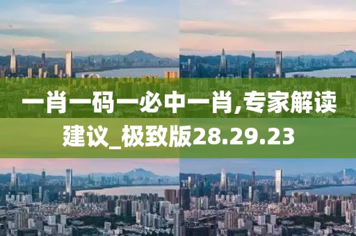 一肖一码一必中一肖,专家解读建议_极致版28.29.23