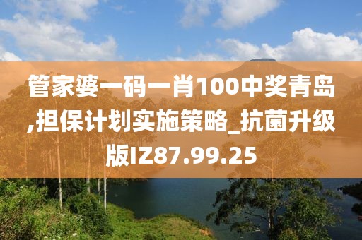 管家婆一码一肖100中奖青岛,担保计划实施策略_抗菌升级版IZ87.99.25