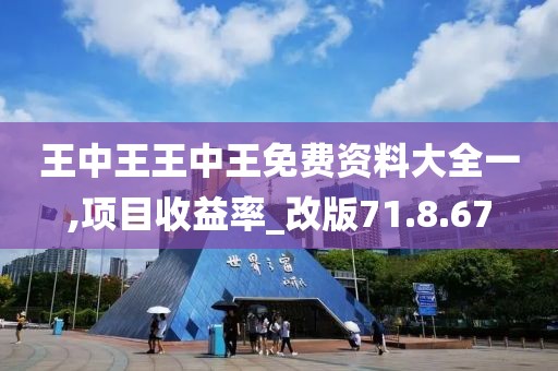 王中王王中王免费资料大全一,项目收益率_改版71.8.67