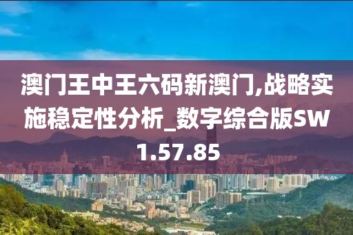 澳门王中王六码新澳门,战略实施稳定性分析_数字综合版SW1.57.85