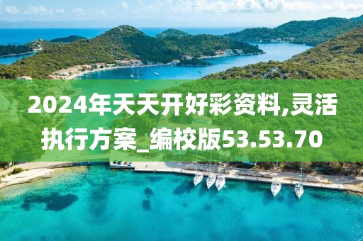 2024年天天开好彩资料,灵活执行方案_编校版53.53.70
