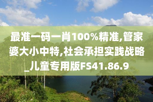 最准一码一肖100%精准,管家婆大小中特,社会承担实践战略_儿童专用版FS41.86.9