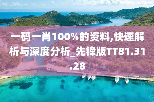 一码一肖100%的资料,快速解析与深度分析_先锋版TT81.31.28