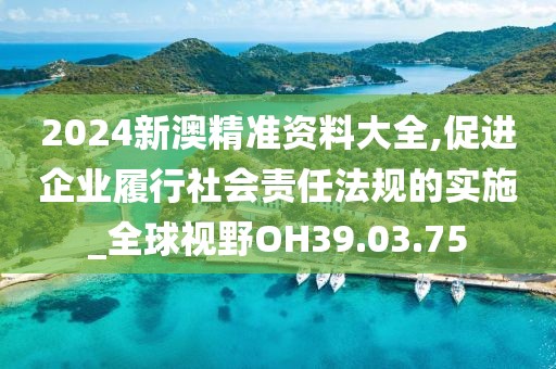 2024新澳精准资料大全,促进企业履行社会责任法规的实施_全球视野OH39.03.75