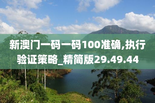 新澳门一码一码100准确,执行验证策略_精简版29.49.44